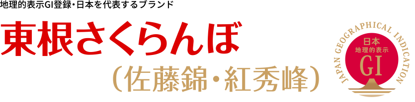 地理的表示GI登録・日本を代表するブランド。東根さくらんぼ(佐藤錦・紅秀峰)